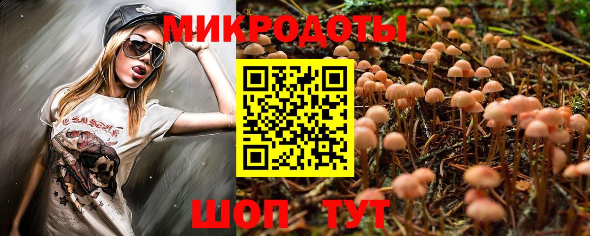 Псилоцибиновые грибы MAGIC MUSHROOMS  Галлюциногенные грибы Psilocybe  Вход с VPN  где купить   Будённовск 